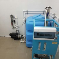 a977e8de-67c0-4b33-93ab-d6be0fdfe778.JPG